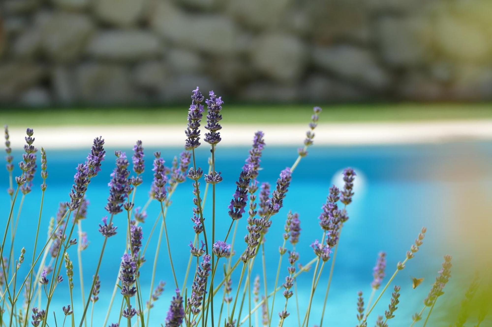 Kalpic Suites & Villa Lozovac Buitenkant foto