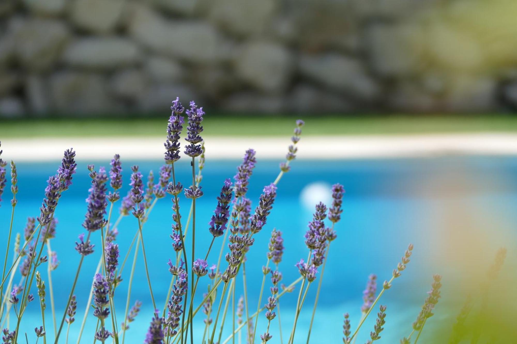 Kalpic Suites & Villa Lozovac Buitenkant foto